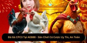 Đá Gà CPC3 Tại AE888 - Sân Chơi Cá Cược Uy Tín, An Toàn